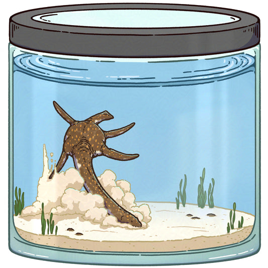 Miniature Plesiosaur Sticker