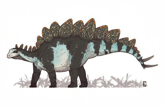 Stegosaurus