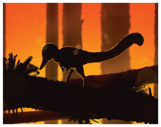 Sunset Shuvuuia