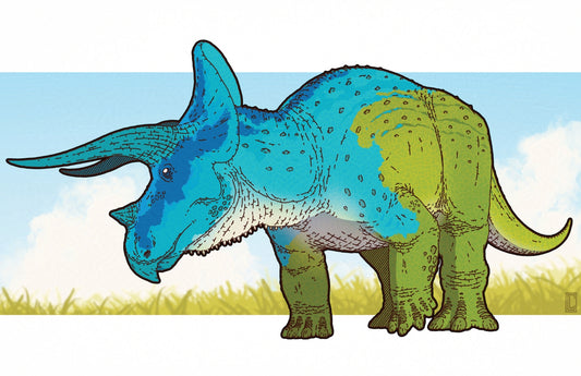 Triceratops